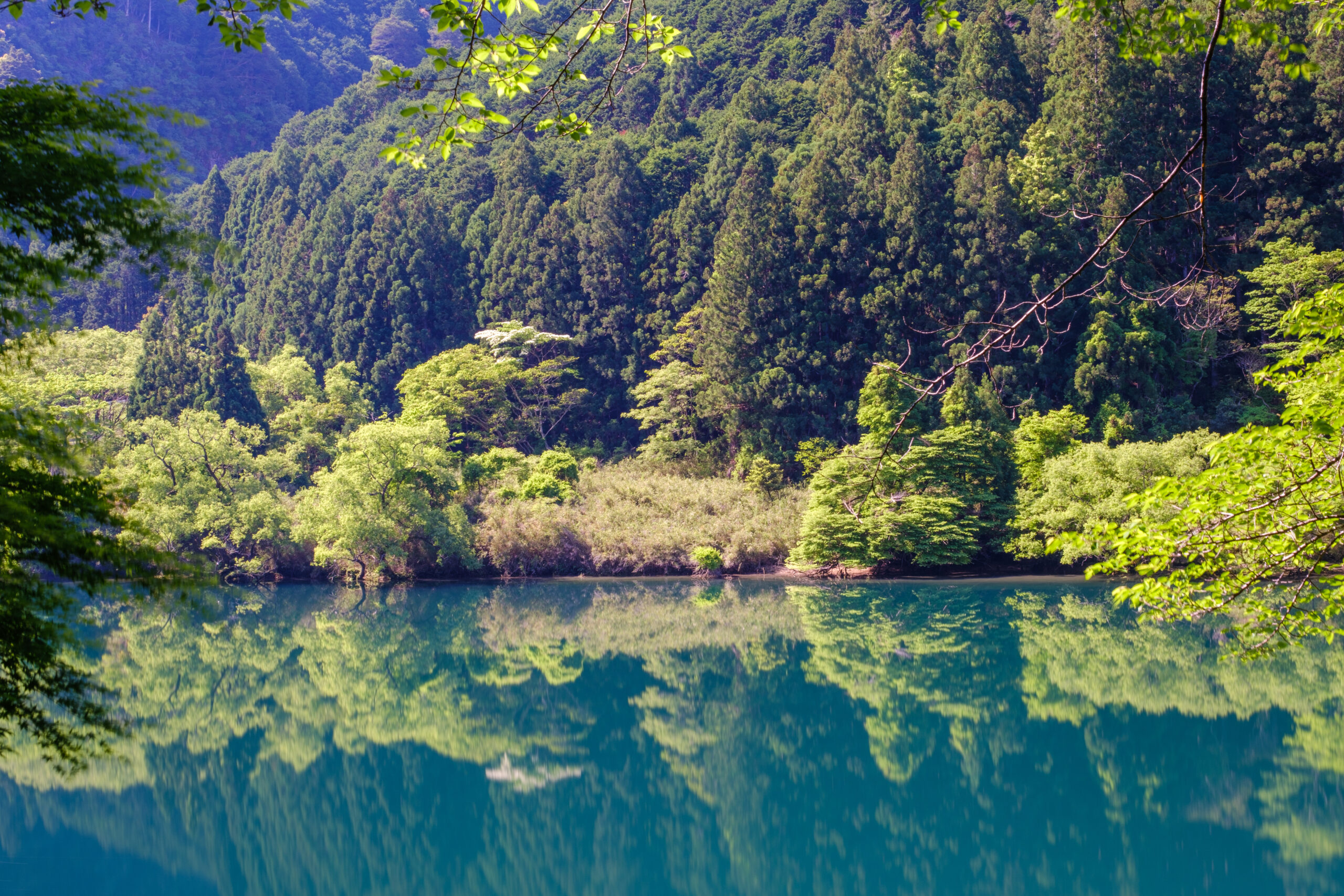 瀞峡、水面に反射する森