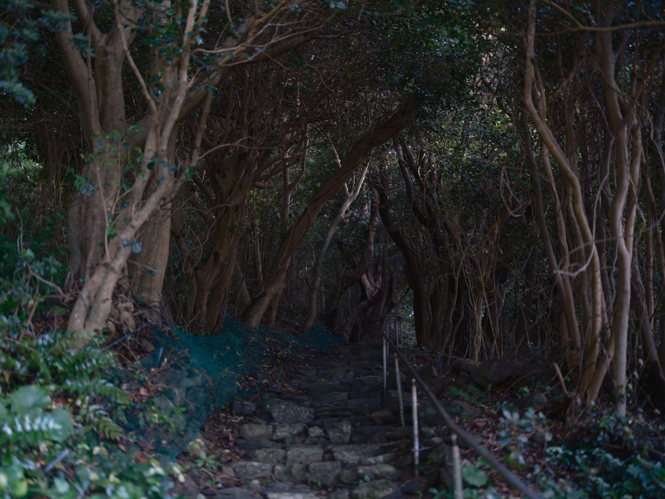 伊射波神社、過酷な山道、一宮神社