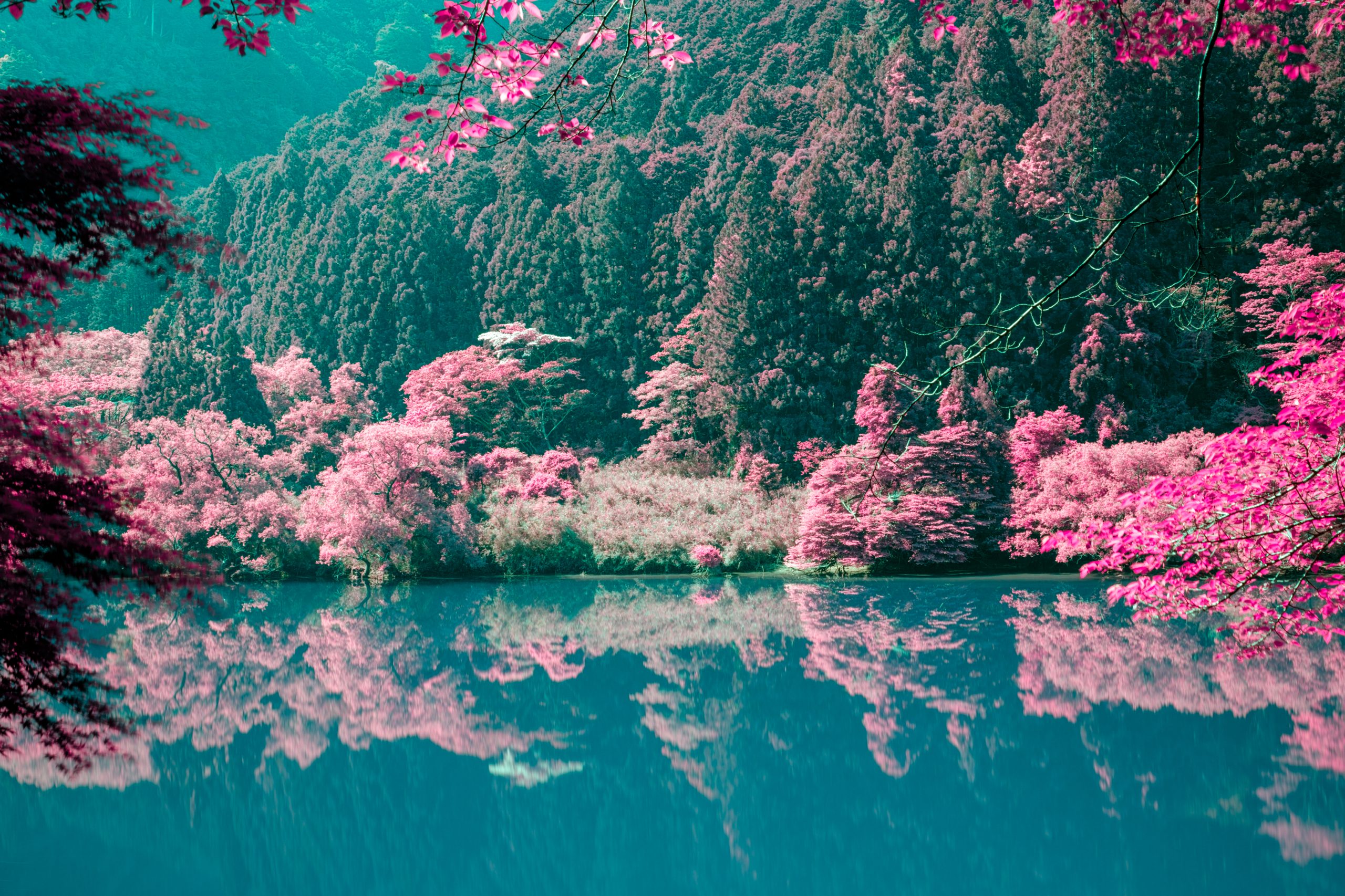 偽赤外線・瀞峡