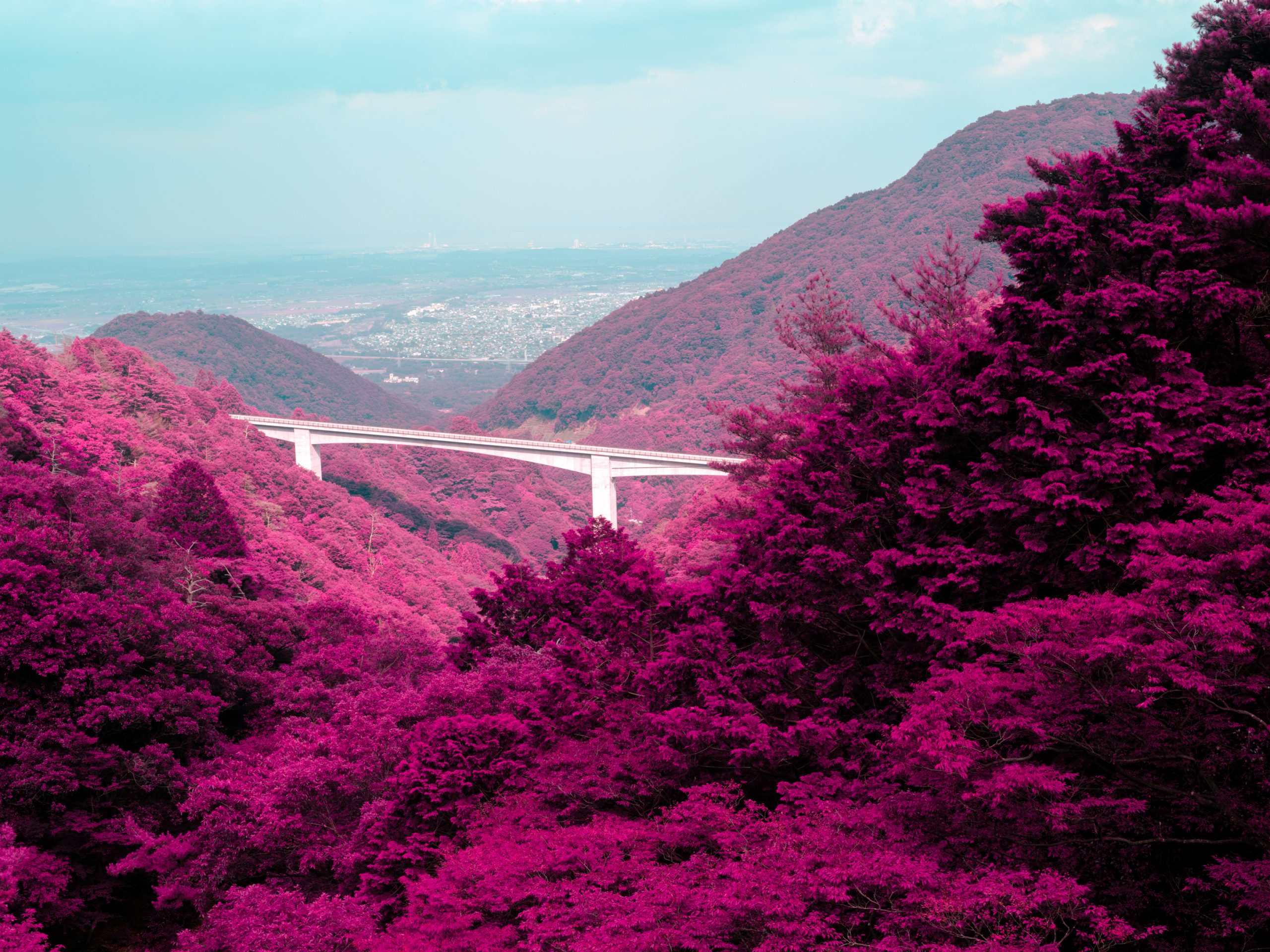 偽、山頂から見た四日市医