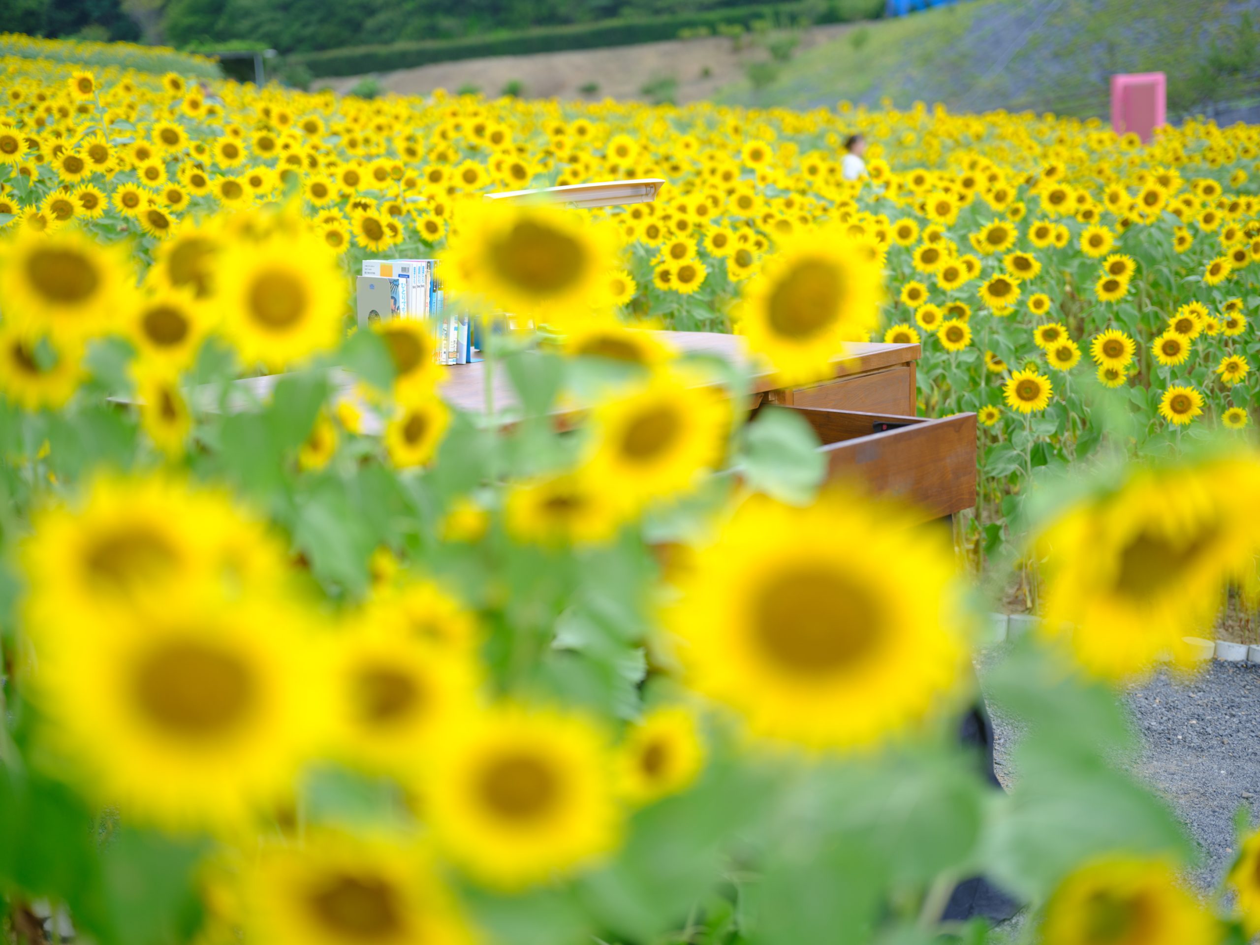 STAND BY ME ドラえもん