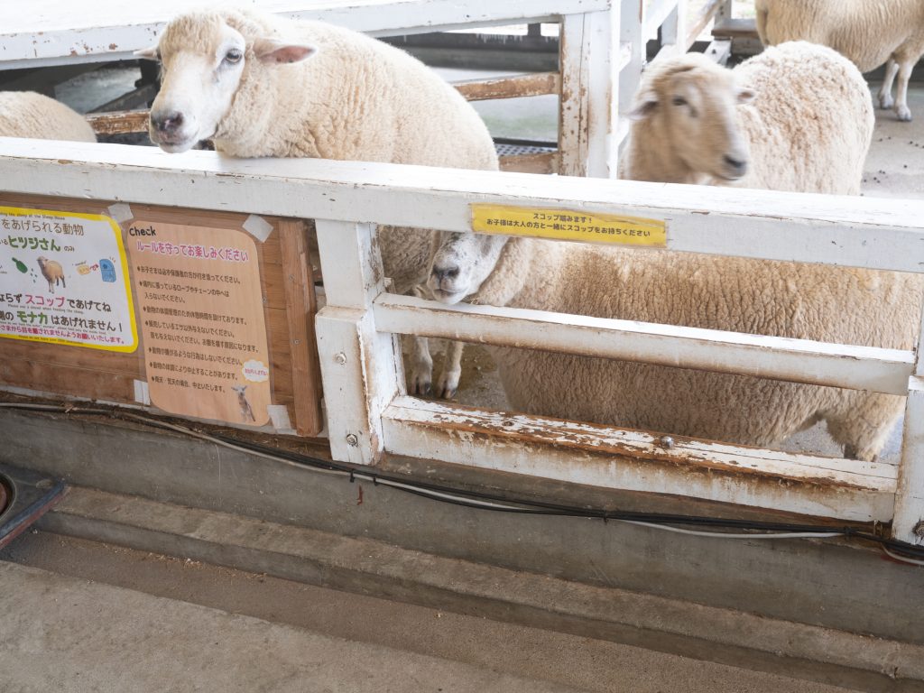 ハーベストの丘