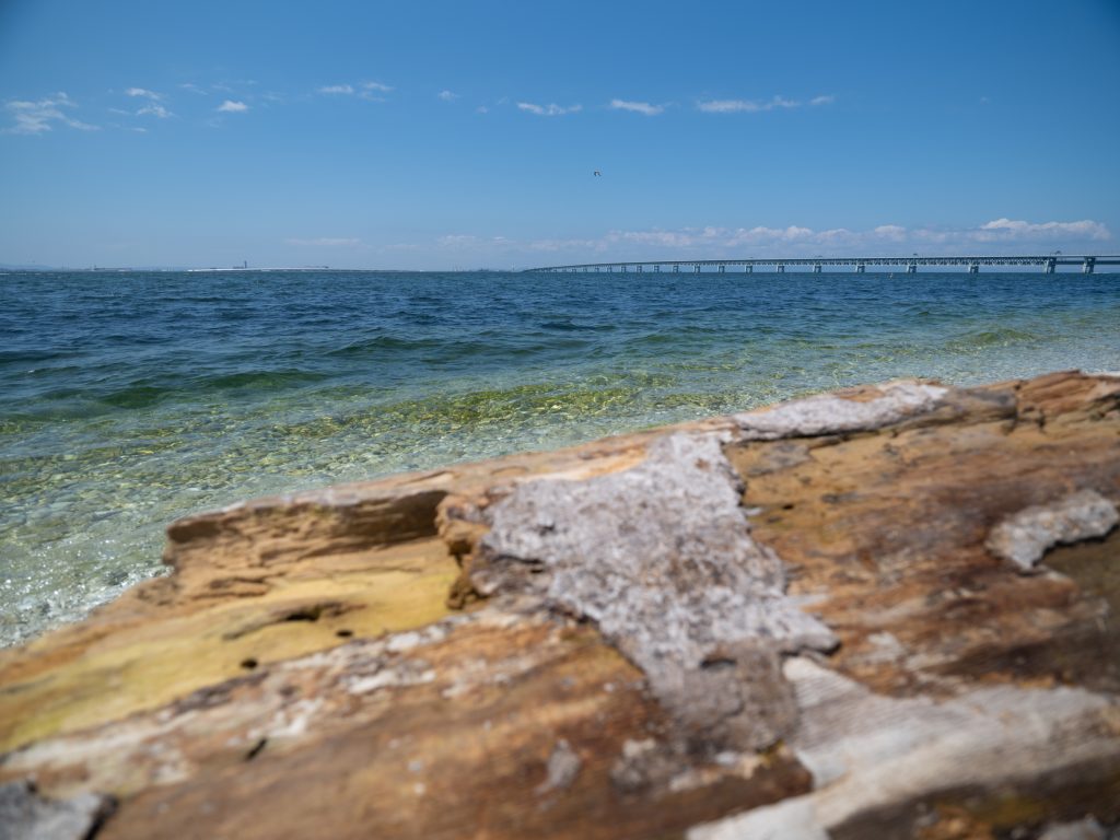 マーブルビーチ