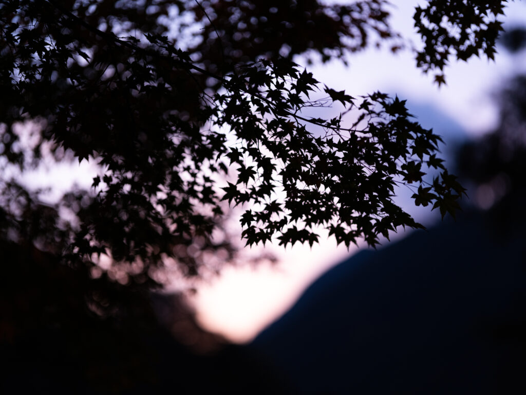 GFX100Ⅱ＋SIGMA Art 105mm F1.4 DG HSM F1.6 1/15秒 ISO2000