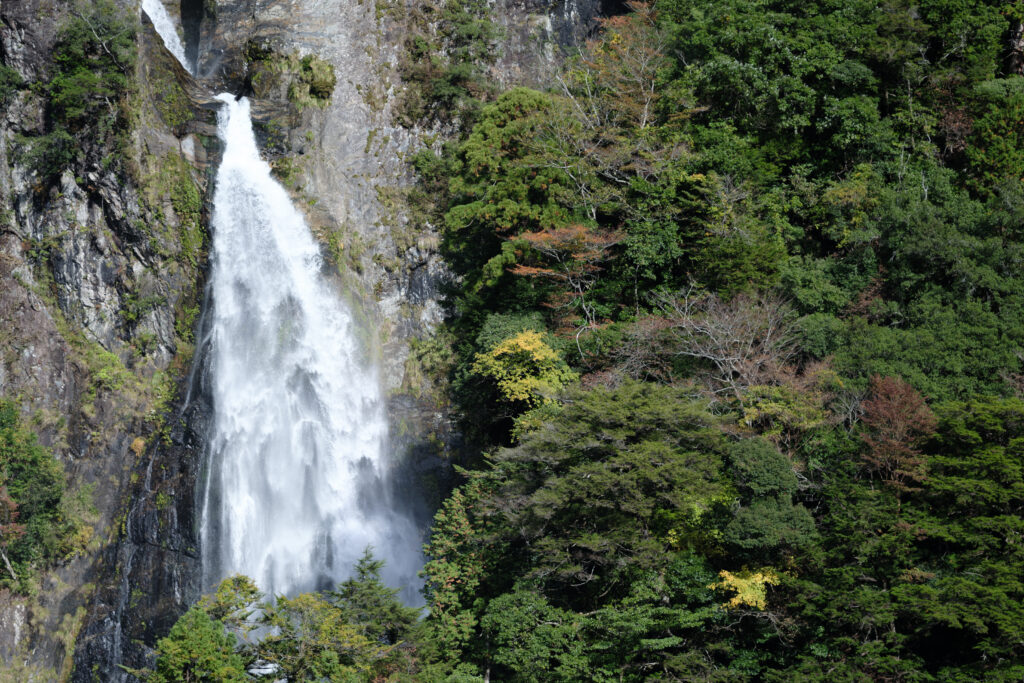 GFX100Ⅱ＋SIGMA Art 105mm F1.4 DG HSM F1.4 1/1400秒 ISO100