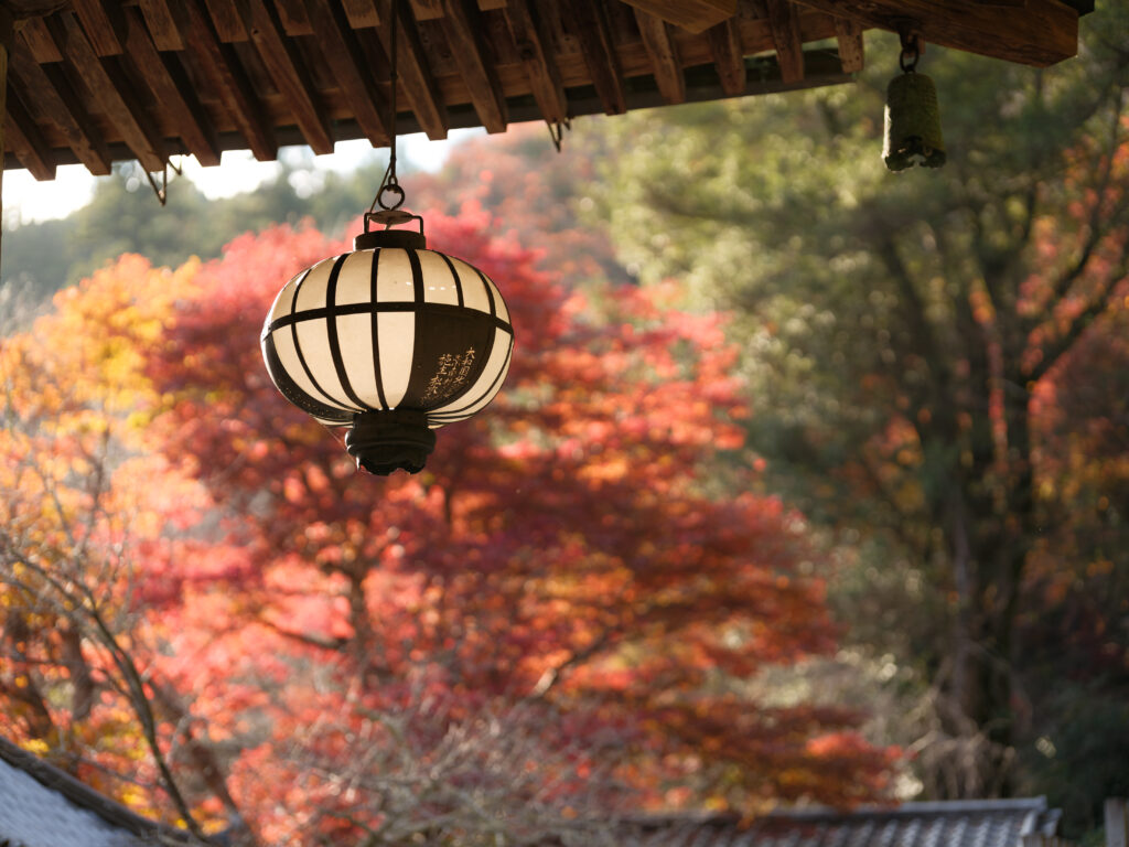 GFX100Ⅱ＋SIGMA Art 105mm F1.4 DG HSM F2 1/1100秒 ISO1000