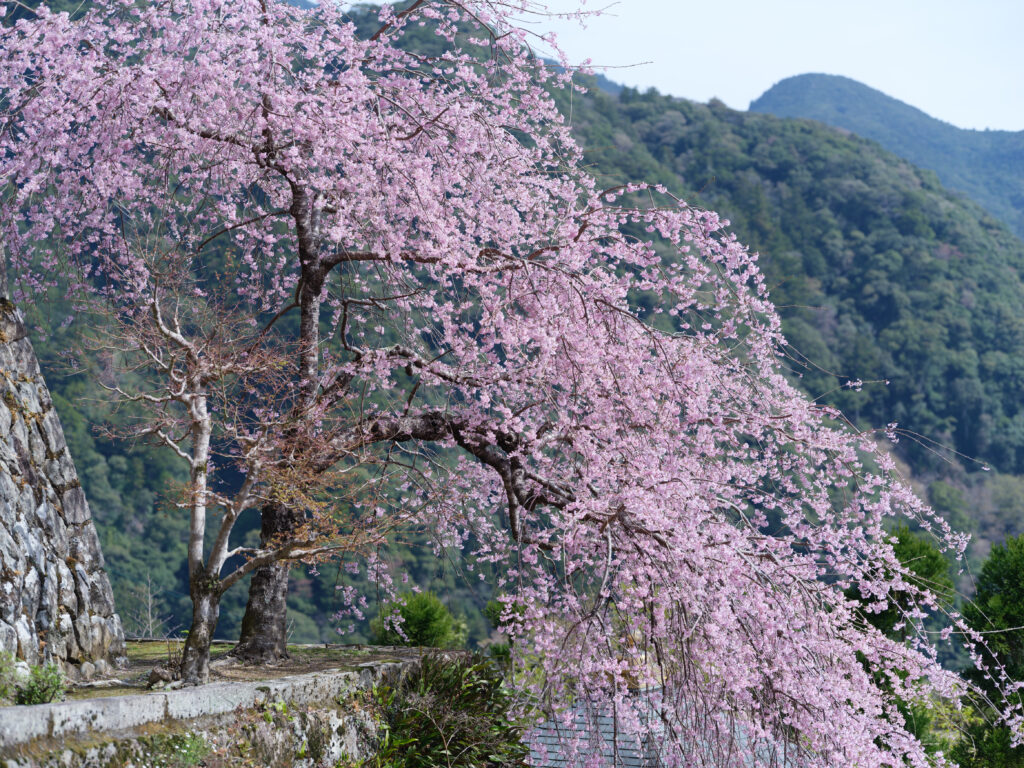 GFX100Ⅱ＋SIGMA Art 105mm F1.4 DG HSM F3.2 170秒 ISO80