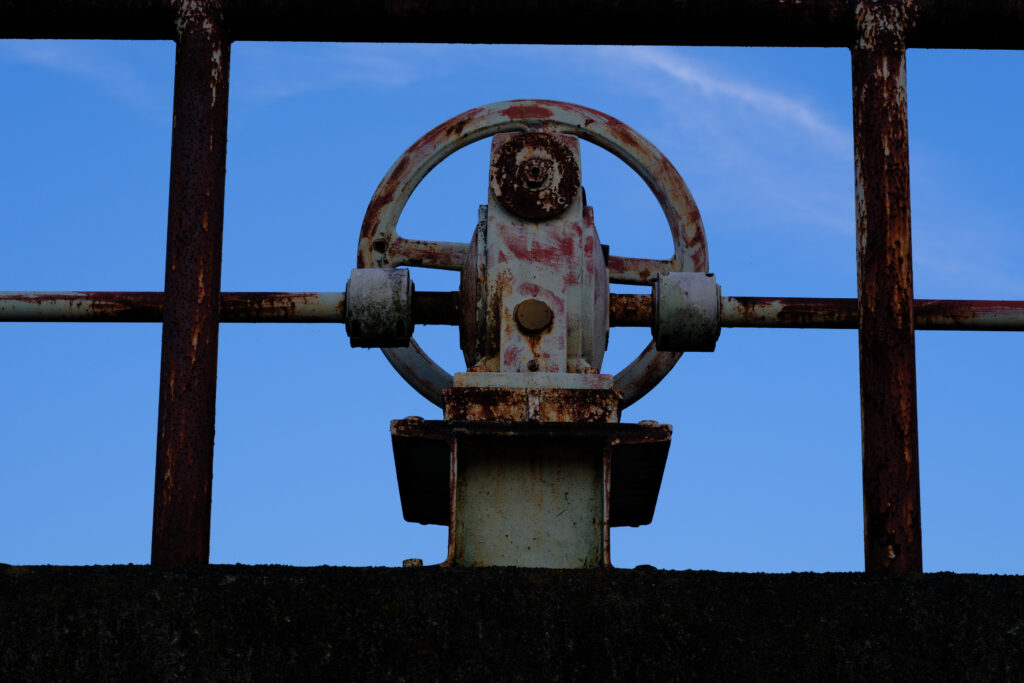 GFX100Ⅱ＋TAMRON SP AF90mm F2.8Di Macro 272EN　F11 1/100秒 ISO500