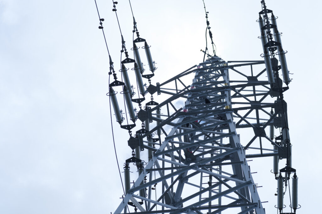 F5.6 1/100GFX100Ⅱ＋TAMRON SP AF90mm F2.8Di Macro 272EN　0秒 ISO320