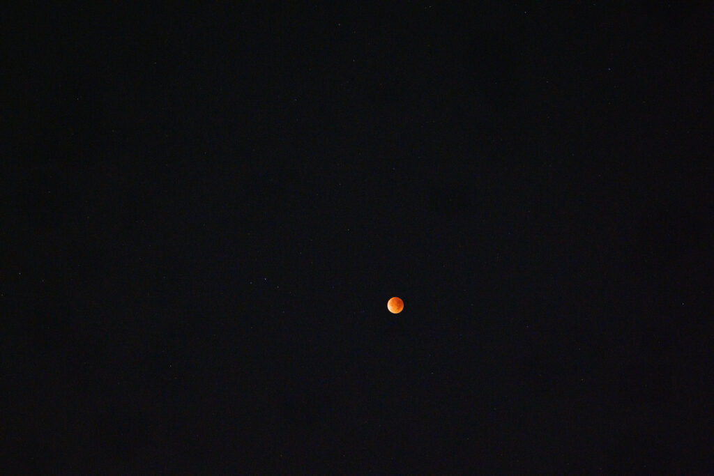 RAYQUAL＋GFX＋outs 85mm